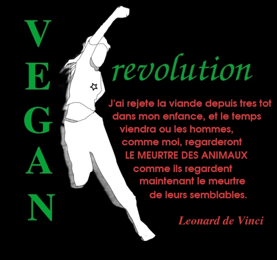 Vinci vegan