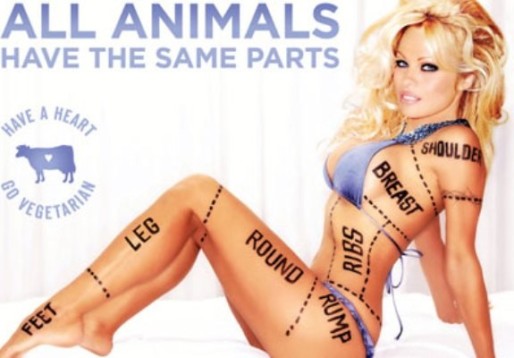 Pamela Anderson propose une illustration du concept de chosification du corps