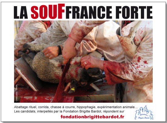 Animaux 2 dd